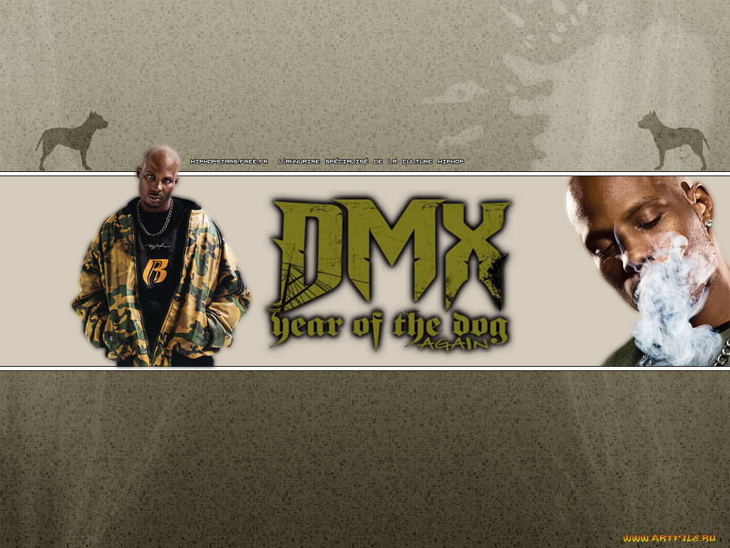 , dmx